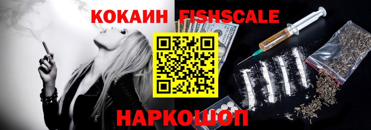 Кокаин  Вход с VPN  Елизово  Cocaine Fish Scale 
