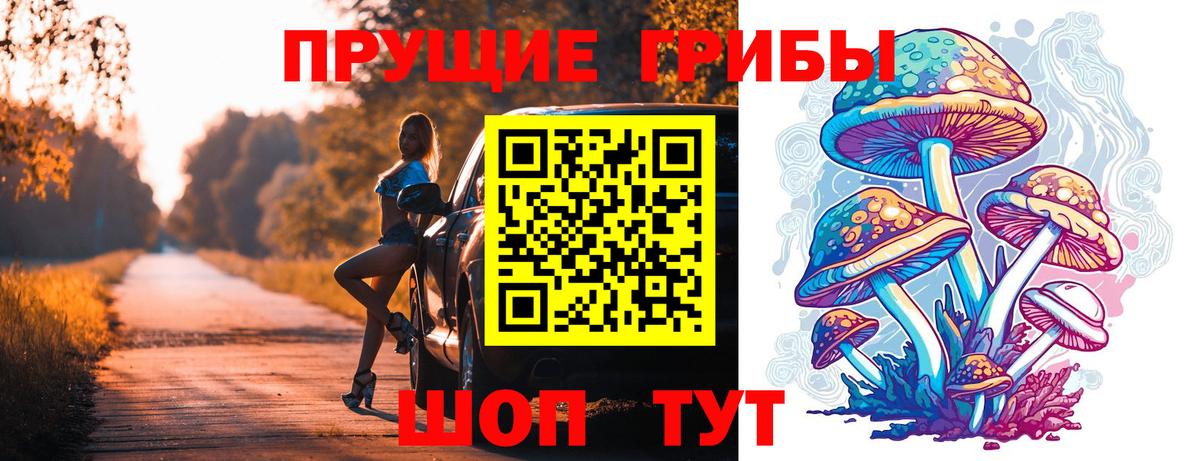 Псилоцибиновые грибы Psilocybine cubensis Елизово