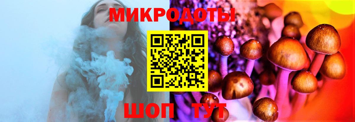 Галлюциногенные грибы Magic Shrooms  Вход с VPN  Елизово 